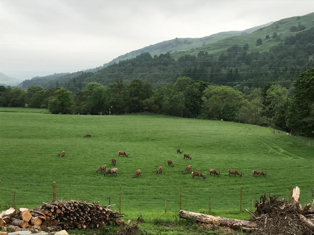 Lochay Lodges Killin Esterno foto